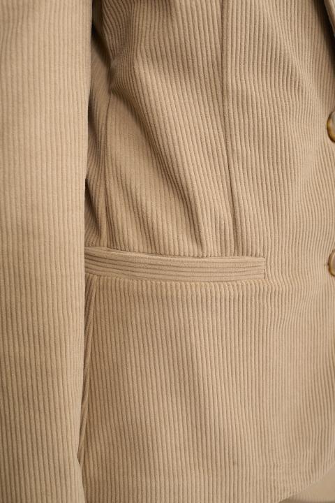 Giacca revers velluto beige - Autunno - Inverno 2025 | Brend