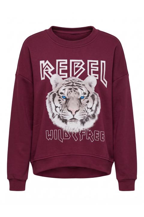 Felpa stampa Rebel chianti - Autunno - Inverno 2027 | Brend