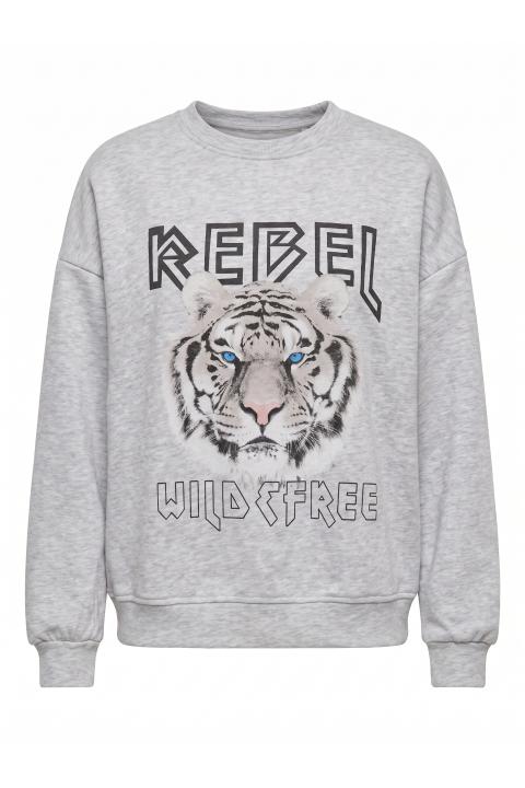 Felpa stampa Rebel grigio - Autunno - Inverno 2027 | Brend