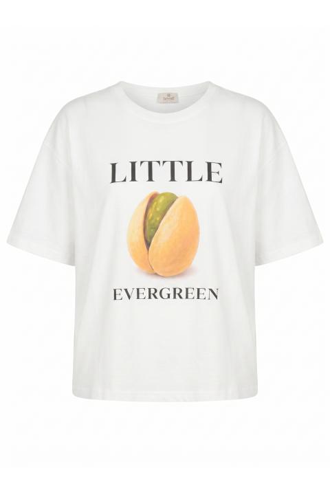 T-shirt stampa pistacchio bianco - Primavera Estate 2026 | Brend